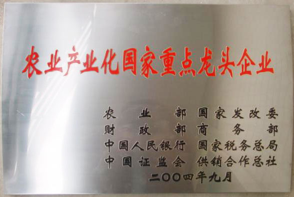 立足過去、放眼未來，白象食品二十三歲生日快樂