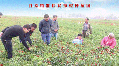 聚焦兩會：白象食品嚴守產(chǎn)品質(zhì)量，積極創(chuàng)新研發(fā)，助力鄉(xiāng)村振興